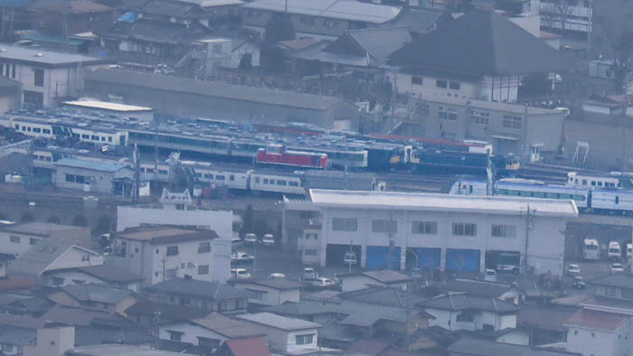コムラサキホコリ：大峰山