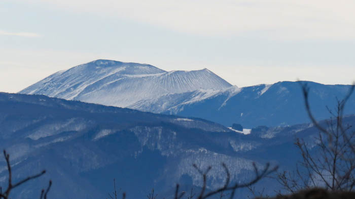コムラサキホコリ：大峰山