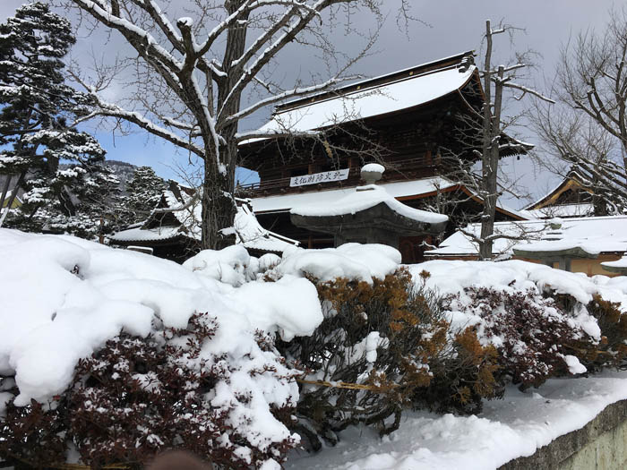 photo：山門に文化財防火デーの垂れ幕：善光寺