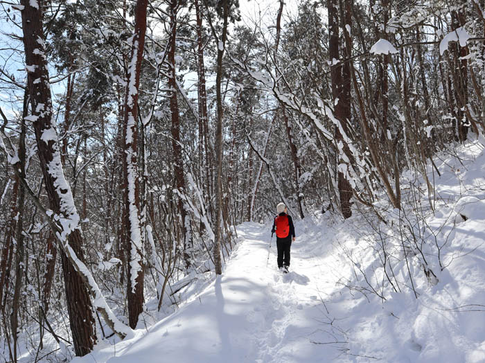気持ちがいい雪道歩き：地附山