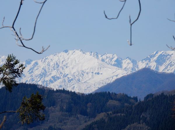 photo・唐松岳　葛山登山道から
