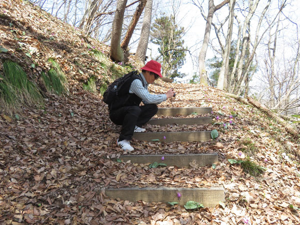 photo 登山道にもカタクリ