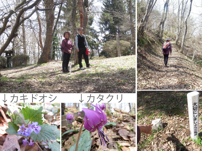 photo 矢筒山の山頂は広い