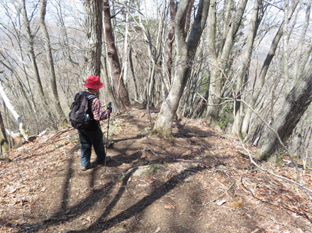 photo 木の根が張り出す痩せ尾根・奇妙山