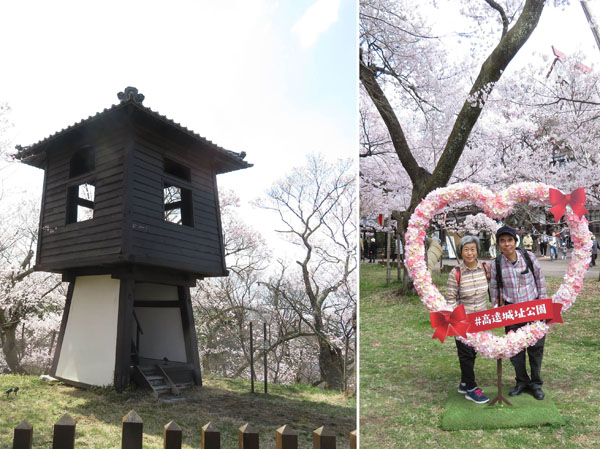 photo・太鼓櫓とハート桜・高遠城址公園