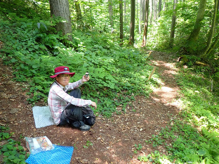 photo14気持ち良い森でおにぎりを食べる