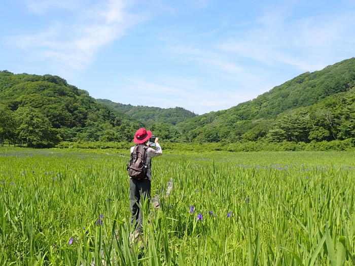 photo沼の原湿原の真ん中