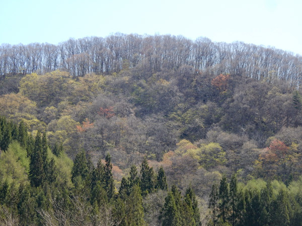 photo・美しい山肌　居谷里湿原から