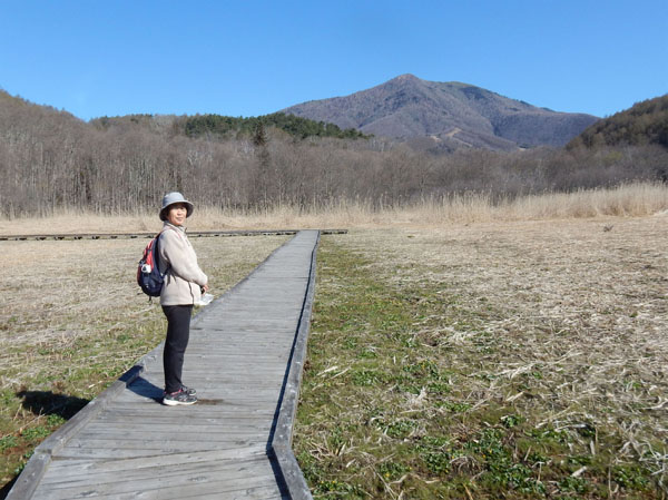 photo 大谷地湿原の奥に飯縄山