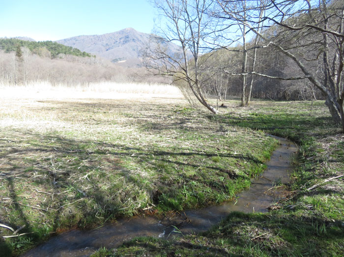 photo 飯綱高原大谷地湿原の入り口