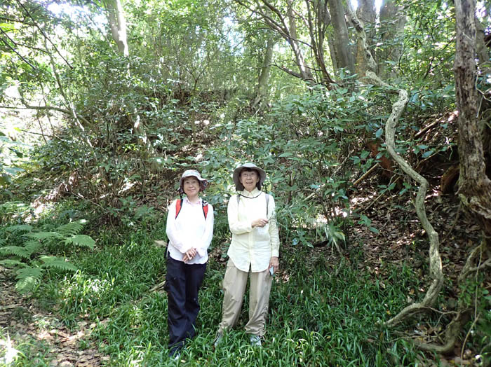 photo9道はここまで