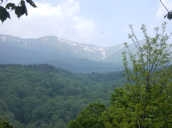 photo・近くの南葉山には雪が残る・鮫ヶ尾城山