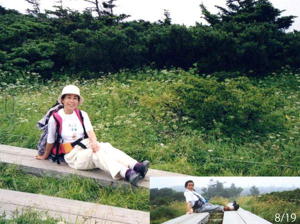 お花畑（右下単独登山）,早池峰山