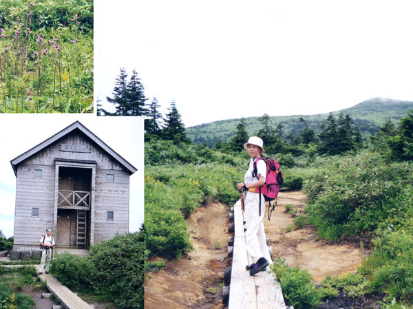 田代平の避難小屋と乳頭山