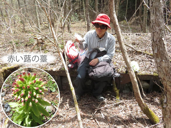 photo・おやつは美味しい・霊仙寺山麓