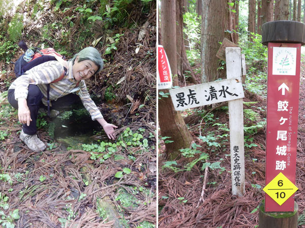 photo・景虎清水、冷たい・鮫ヶ尾城山
