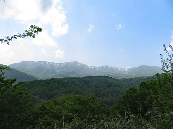 photo・南葉山塊の稜線・鮫ヶ尾城山