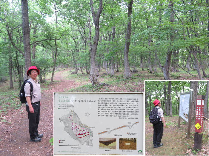photo・弥生時代の建物跡が残る森・鮫ヶ尾城山