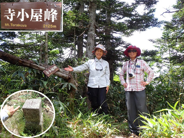 photo11展望はない山頂