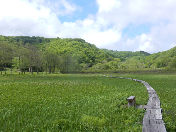 photo・沼ノ原湿原