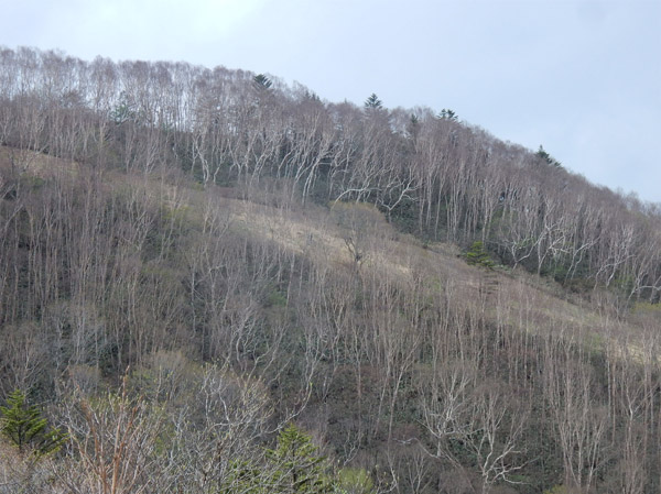 photo・春を待つ　瑪瑙山