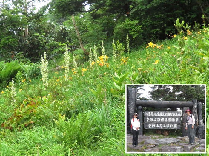 photo1東館山高山植物園