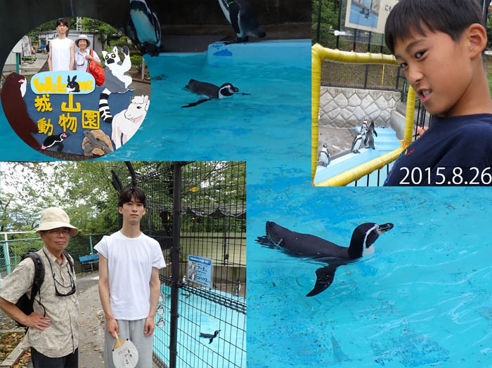 photo1懐かしいペンギンに会う：城山