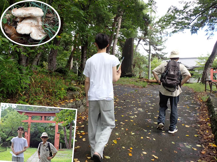 photo13大きなキノコがあった