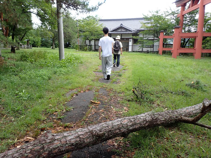 photo9倒木を越えて城山へ