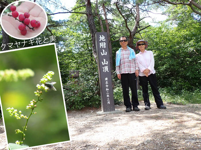 photo1まだ乾燥している地附山,クマヤナギ実
