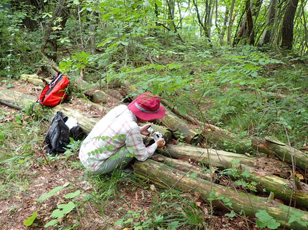 photo9撮影中：地附山