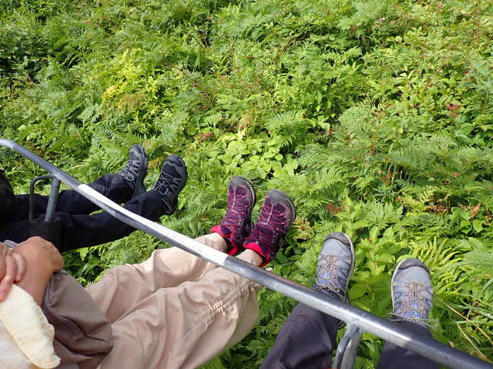 photo1花を蹴ってしまいそう