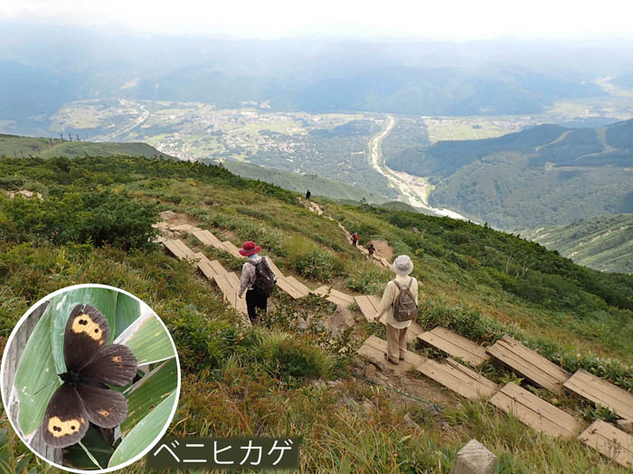 photo12木道を下る