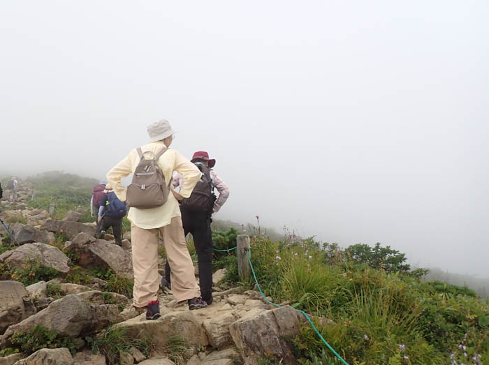 photo2ひゃー真っ白