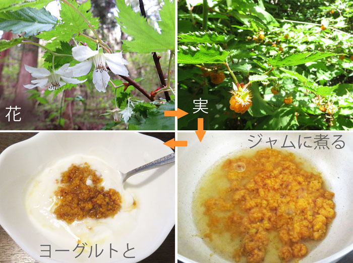 photo・一回分の木いちごジャム,地附山