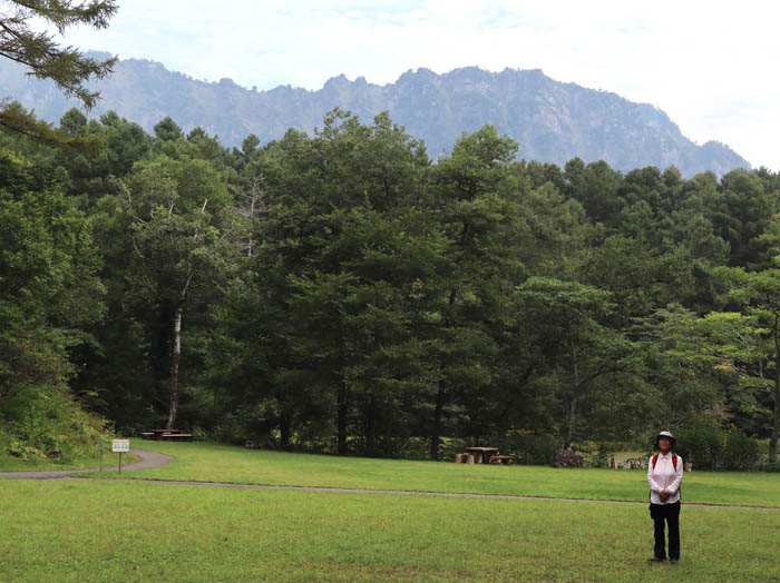 photo朝のみどりが池ほとり