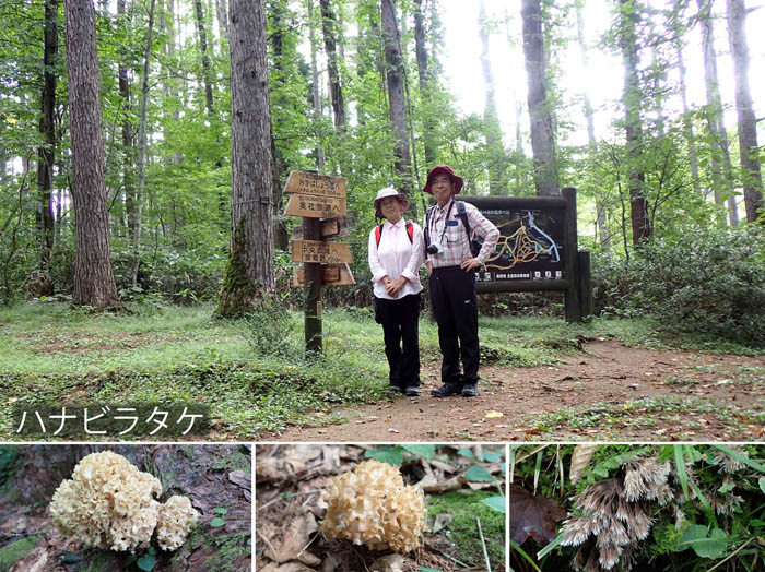 photo15キノコの季節　高台にて