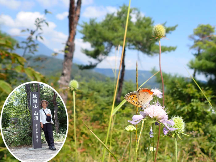 photo：16山頂でベニシジミと0901：地附山