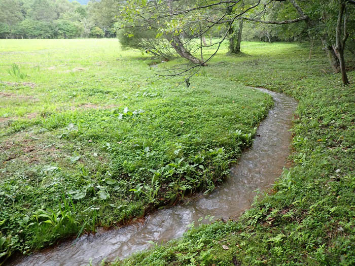 photo1豊富な流れ