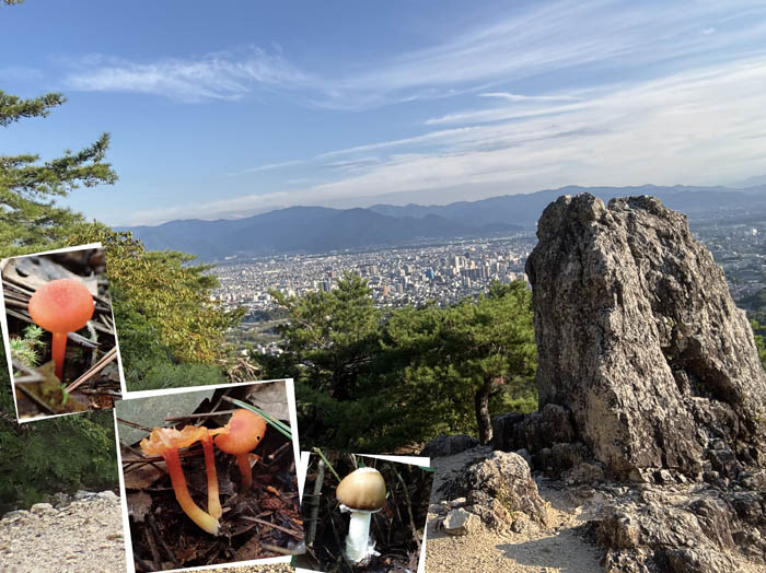 photo物見岩から 