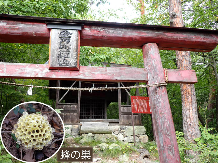 photo森の中に金刀比羅宮 