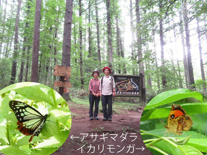 photo・高台園地・戸隠森林植物園
