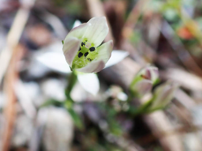 photoセンブリ