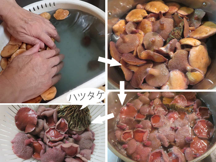 photo16アミタケのこしらえ