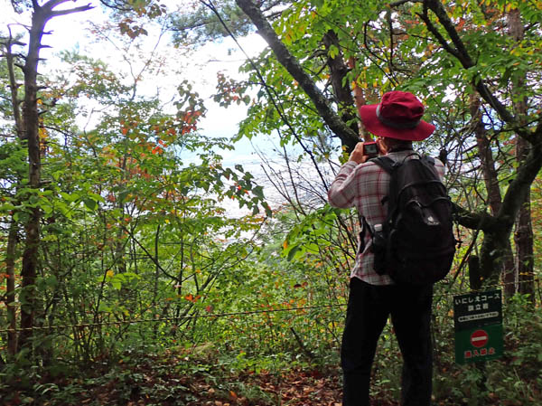 photo8電車が見える