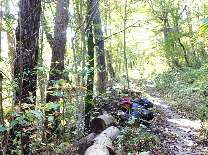 photo9粘菌撮影中