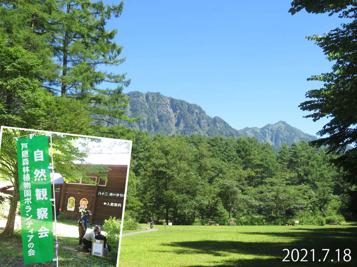 photo：みどりが池より戸隠山