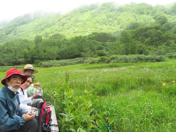 photo：ワタスゲが揺れる中でおにぎり・栂池自然園