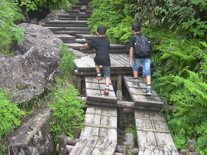 photo：山道は楽しい2011.8.17・栂池自然園