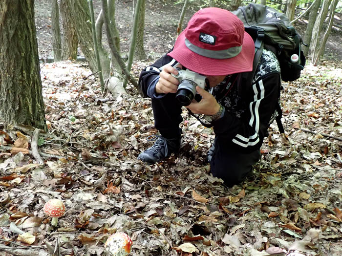 photo4キノコを撮影する